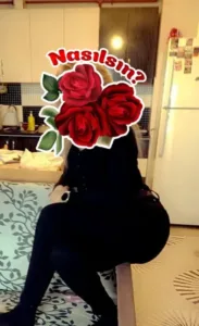 Van Escort Gecelik Van Escort Gecelik