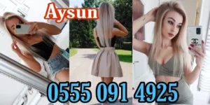 Van Escort Çözümleri Van Escort Çözümleri